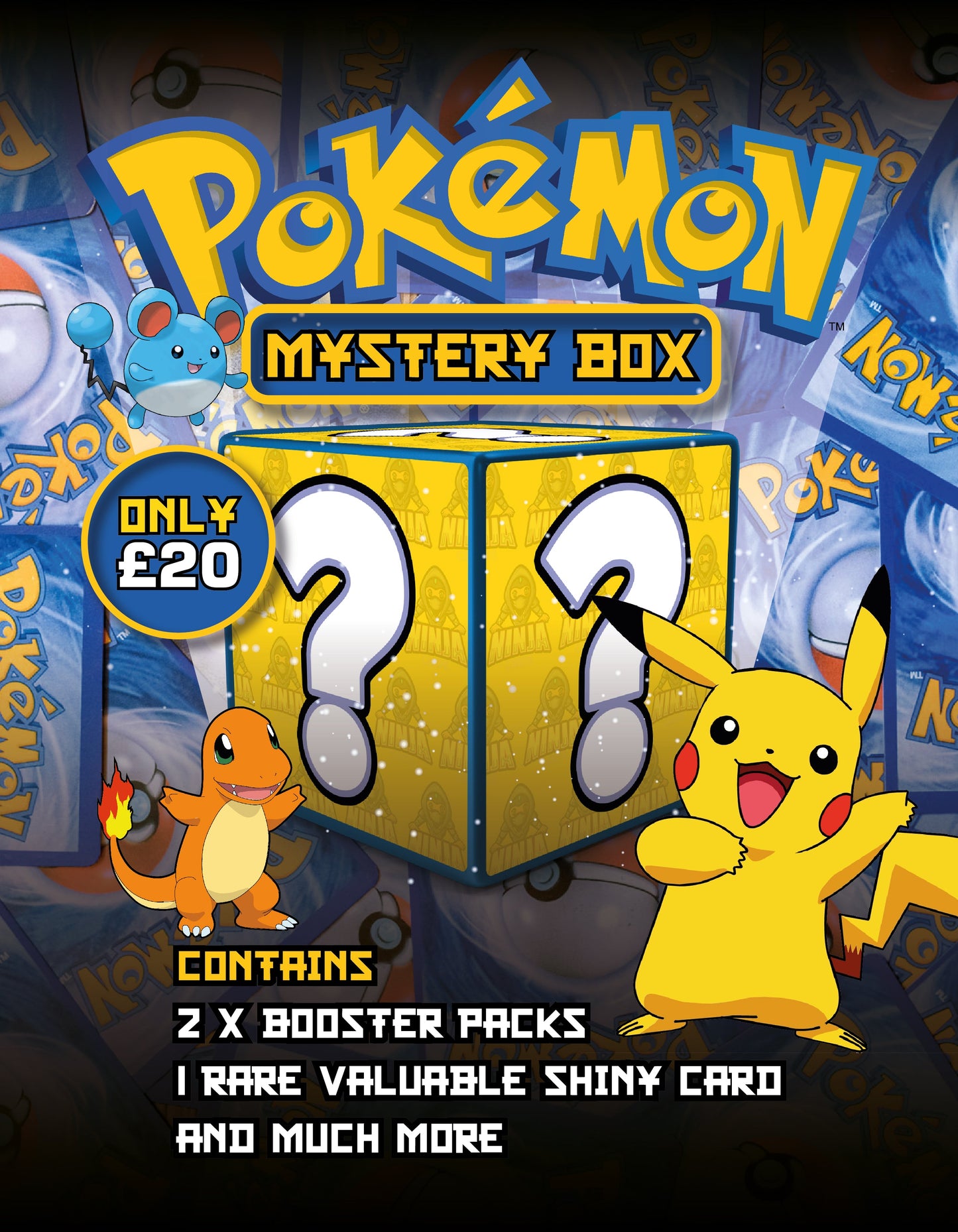 Pokemon Mystery Box